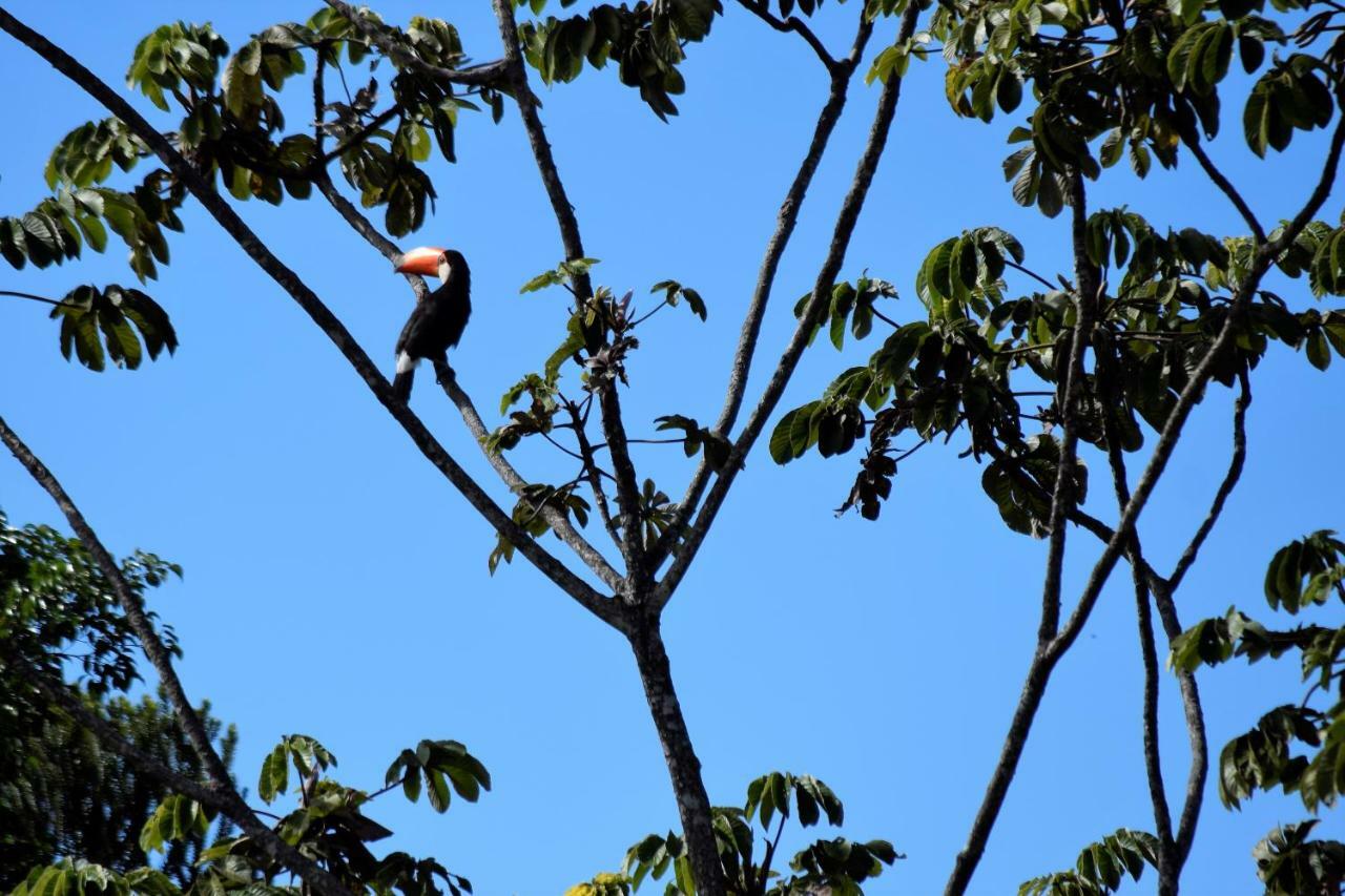 Vila Dos Cristais Alto Paraiso de Goias Luaran gambar