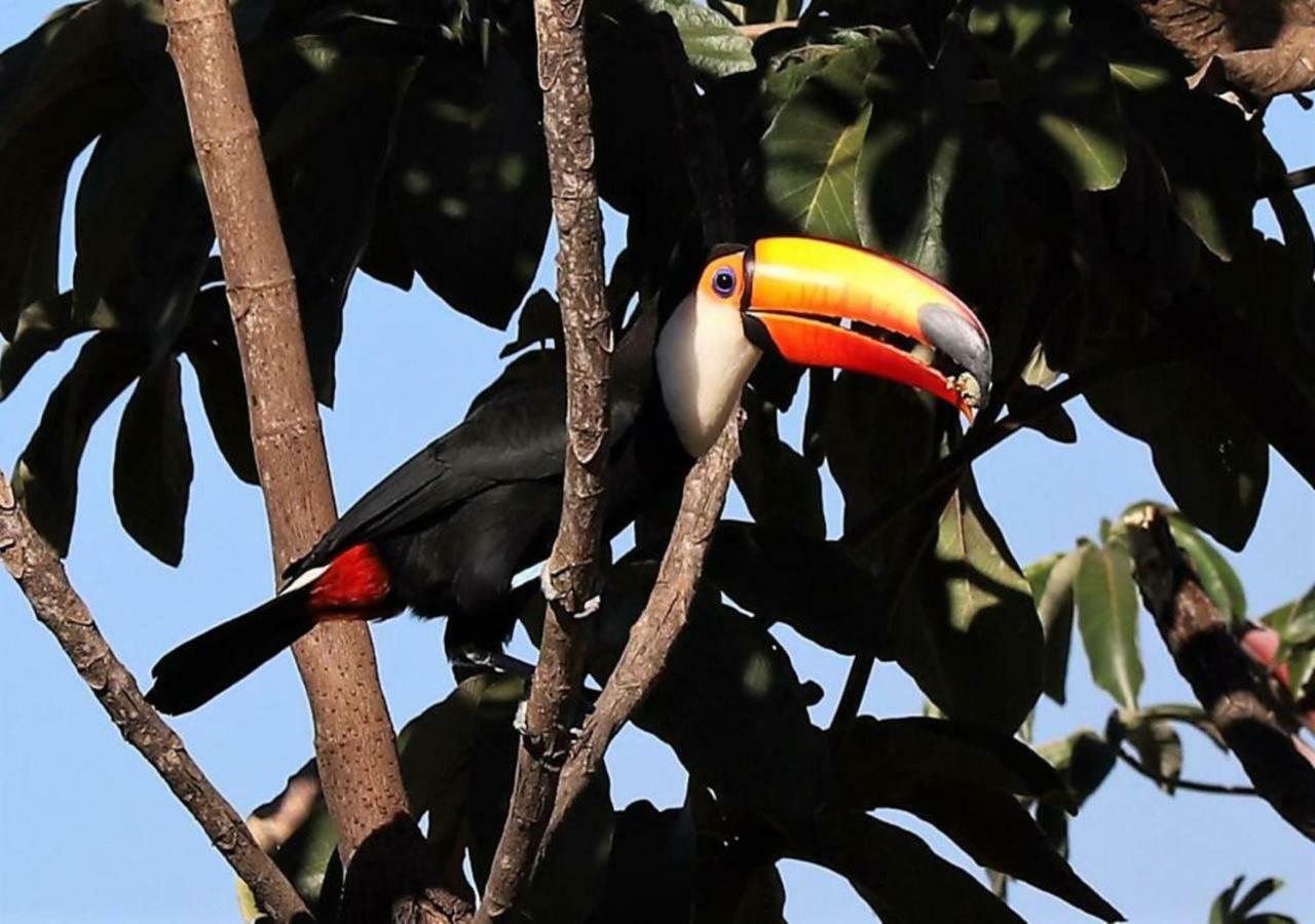Vila Dos Cristais Alto Paraiso de Goias Luaran gambar